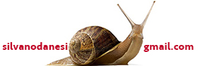 mail-silvano